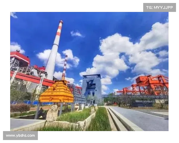 老头杯赛事的文化底蕴与历史传承发展全景探析