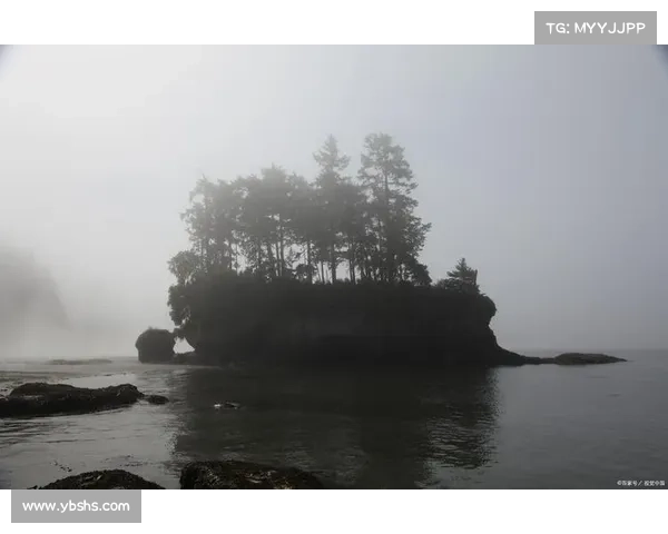 鹤观岛探索必备攻略 七大鲜为人知的技巧让你轻松畅游全岛 鹤观岛探索必备攻略 七大鲜为人知的技巧让你轻松畅游全岛