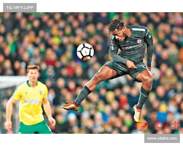 巴舒亚伊的语言魅力：风靡大千世界